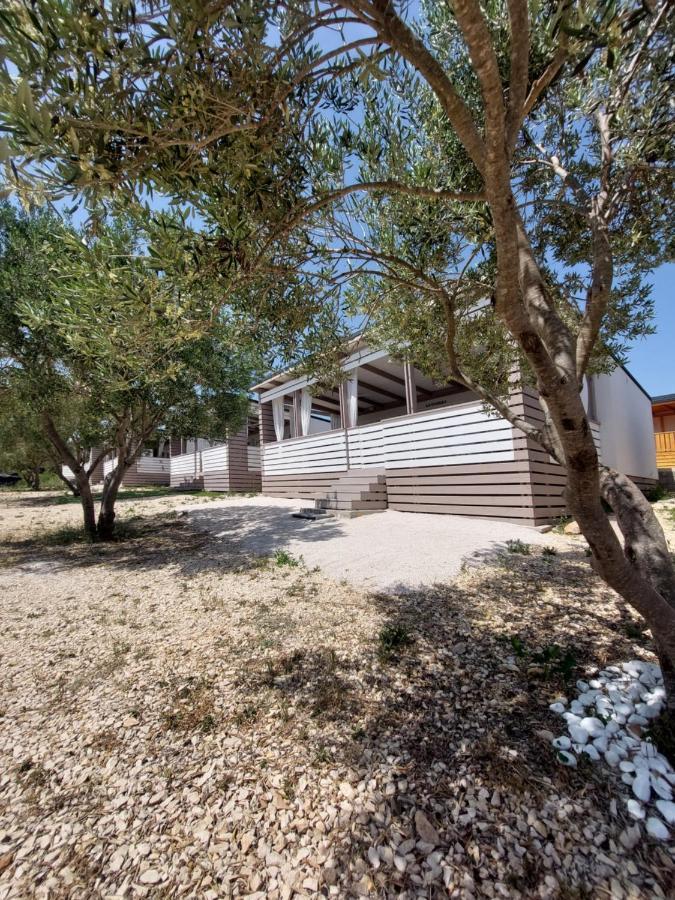 Mobile Home Whit Sea View Lavojesa 德拉格 外观 照片
